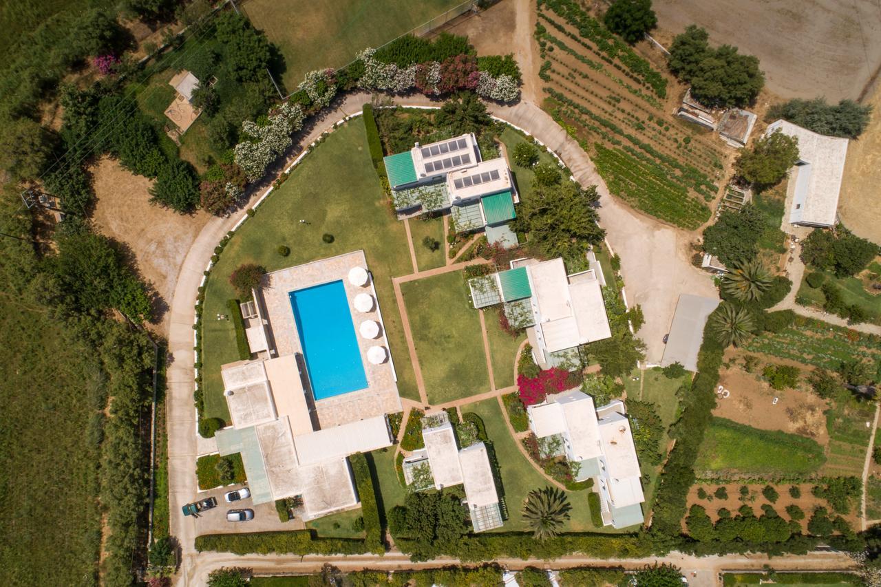 סקירוס Dioni Hotel מראה חיצוני תמונה